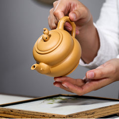 Yixing raw ore gold section mud gourd purple clay pot-240ml